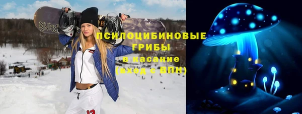 не бодяженный Арсеньев
