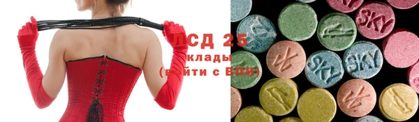твердый Аркадак