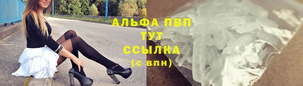 твердый Аркадак