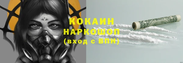 PSILOCYBIN Армянск
